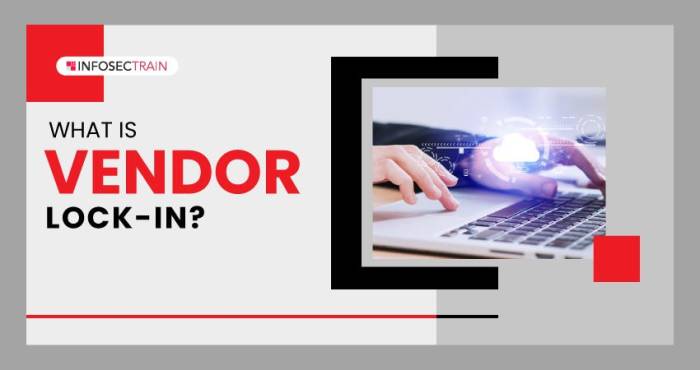 Vendor Lock-In: Definition, Risks, and Strategies for Avoiding It During Migration