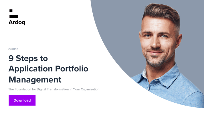 Application Portfolio Analysis for Successful Migration: A Guide