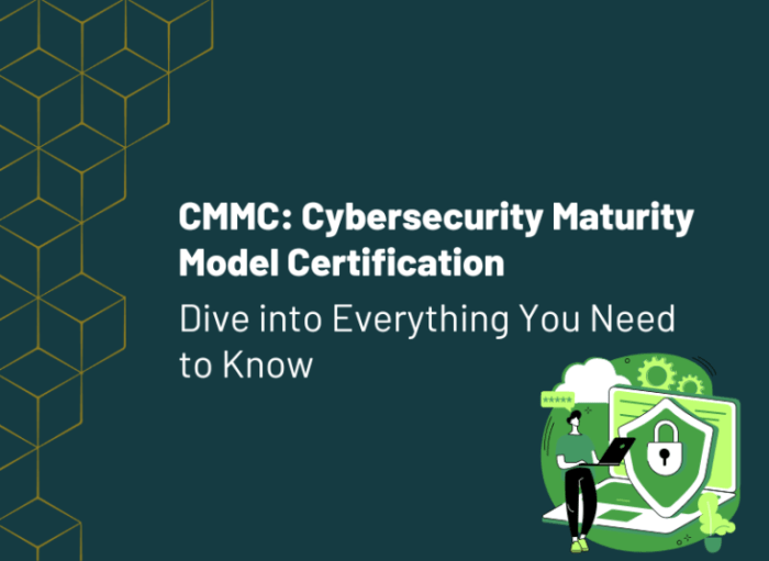 Understanding Security Maturity Models: A Deep Dive into CMMC and Beyond