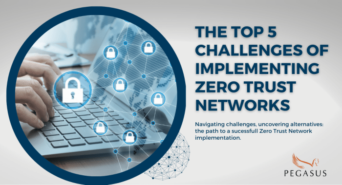 Top 5 Challenges of Implementing Zero Trust Networks - Pegasus IT ...