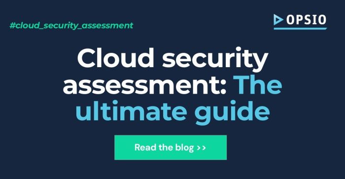 Cloud Security Assessment - Check Point Software