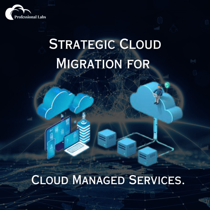 Strategic Cloud Migration For Cloud Managed Services. | Professional Labs