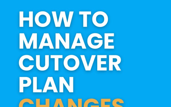 Mastering Data Migration: Essential Steps for a Seamless Cutover Process