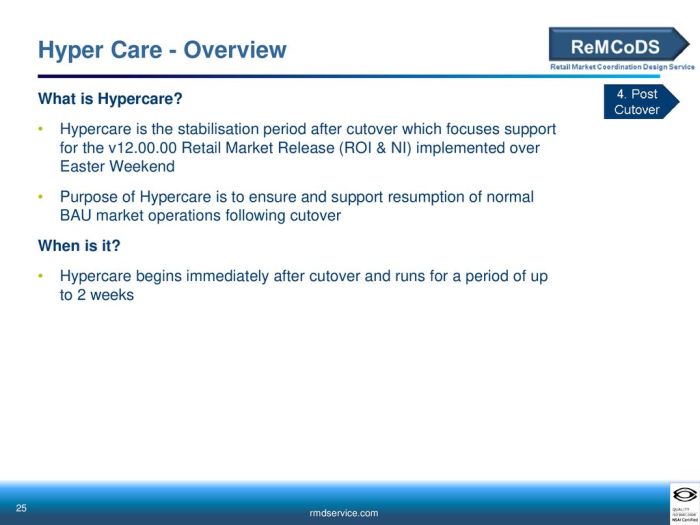Hypercare Call Center Service Model - Next-Level Support