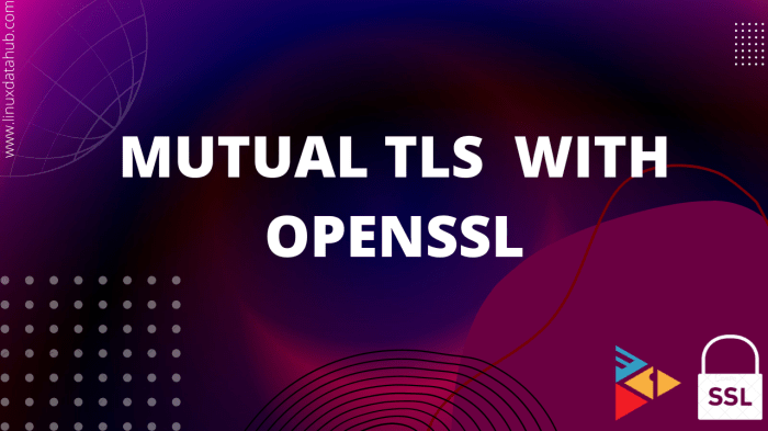 Mutual TLS (mTLS): Secure Service-to-Service Communication Explained