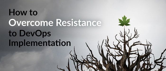 Overcoming Cultural Resistance to DevOps: Strategies for Success