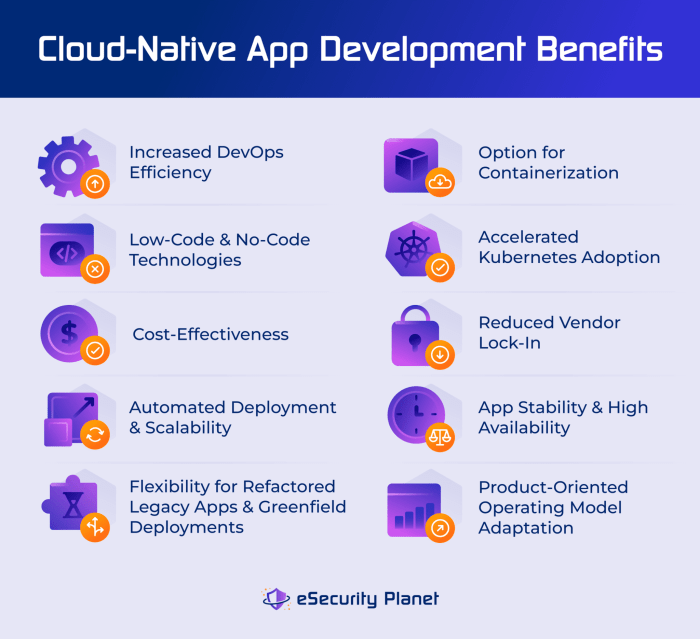 Go: The Ideal Language for Cloud Native Development