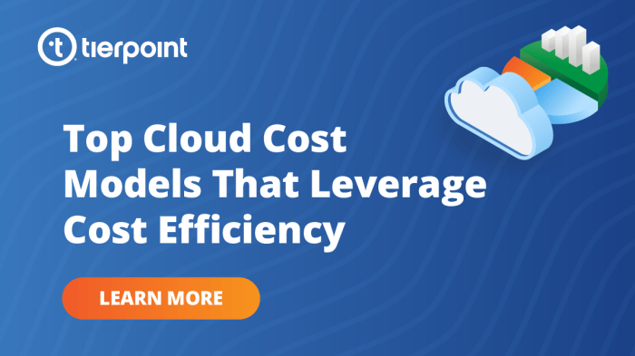 Cloud Cost Optimization: Best Practices for Managing Cloud Expenditures ...