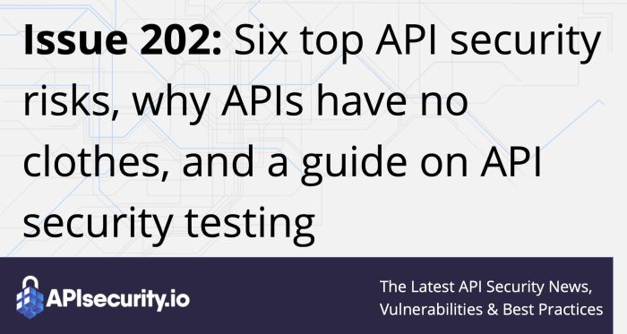 Issue 202: Six top API security risks, why APIs have no clothes, and a ...