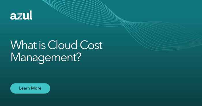 Cloud Cost Management Strategies to Reduce Costs | Electric