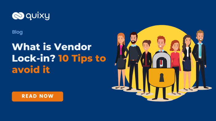 Breaking Free: Identifying and Fixing Vendor Lock-In