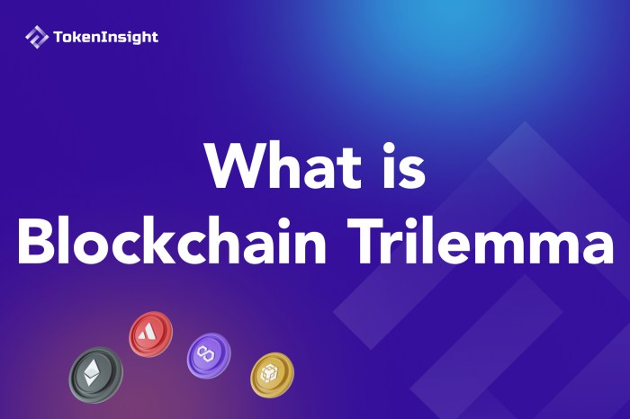 The Serverless Trilemma: Challenges and Trade-offs in Modern Architectures