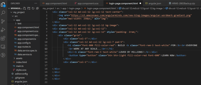 Mastering Angular Framework-Create a Single Page Application (Website ...