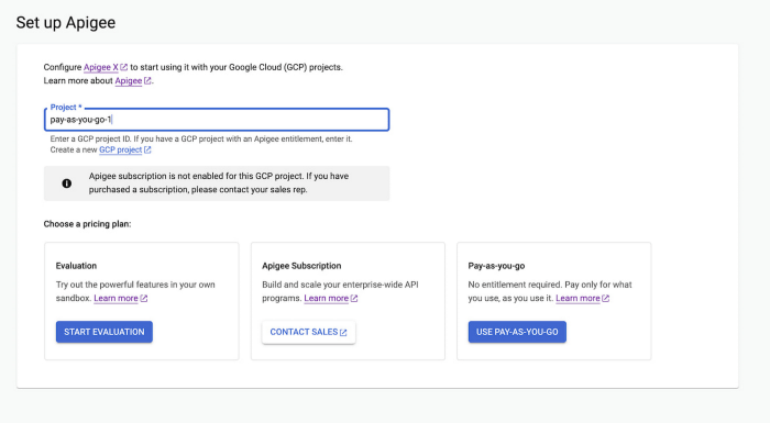 Pay as you go pricing model explained for Saas businesses