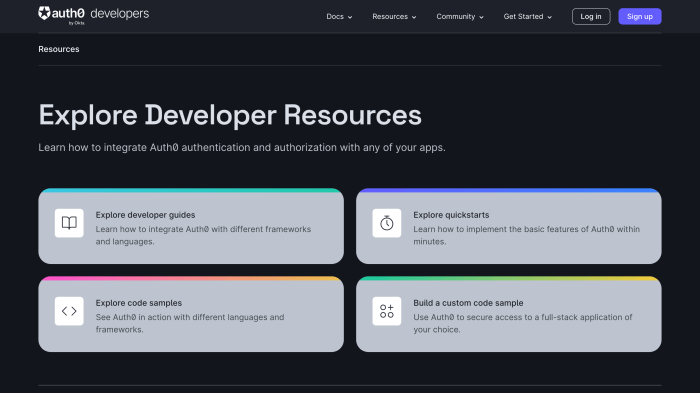 Developer Portal Examples Gallery