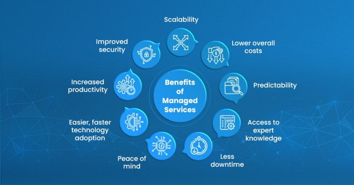 Benefits of Managed Database Services: Streamlining Operations and Boosting Performance