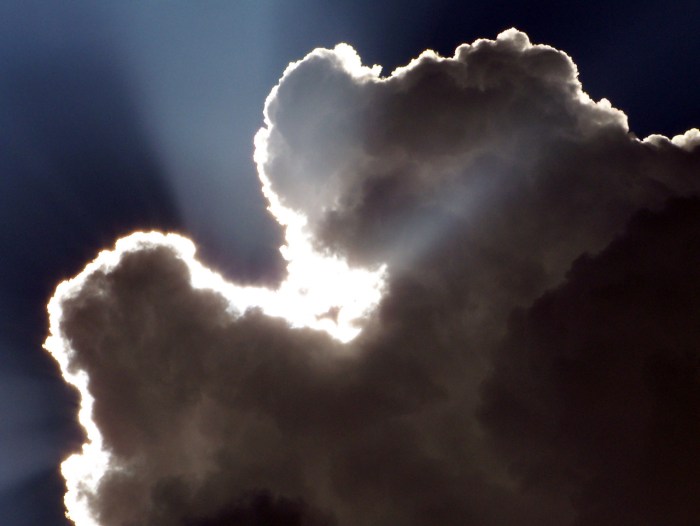 Cloud Cost Forecasting: Definition, Benefits, and Best Practices
