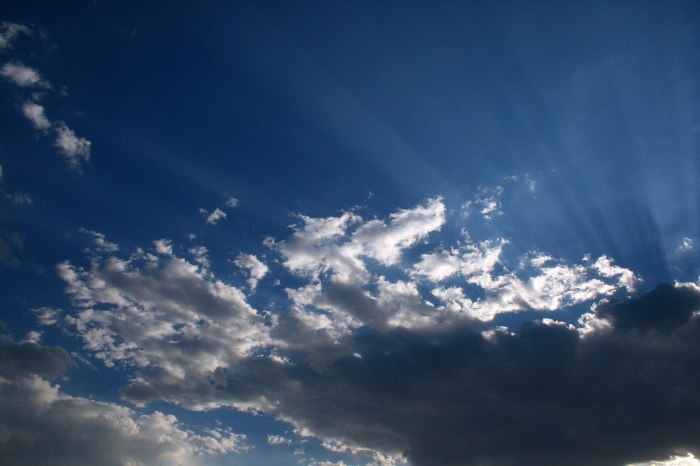 Cloud Center of Excellence (CCoE): Definition, Benefits, and Implementation