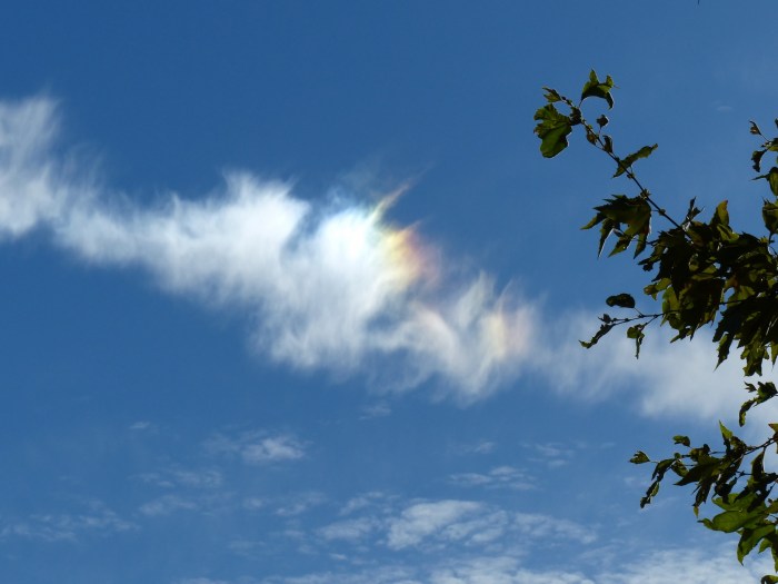 Cloud Cost Governance Framework: Definition, Benefits, and Implementation