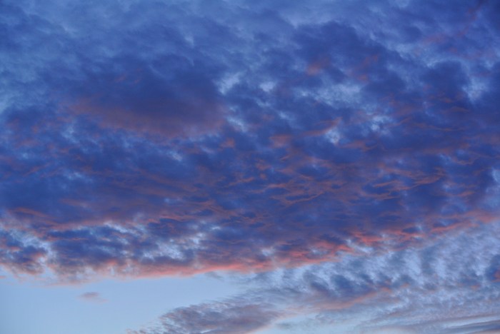 What Is Cloud Sustainability And Its Cost Impact