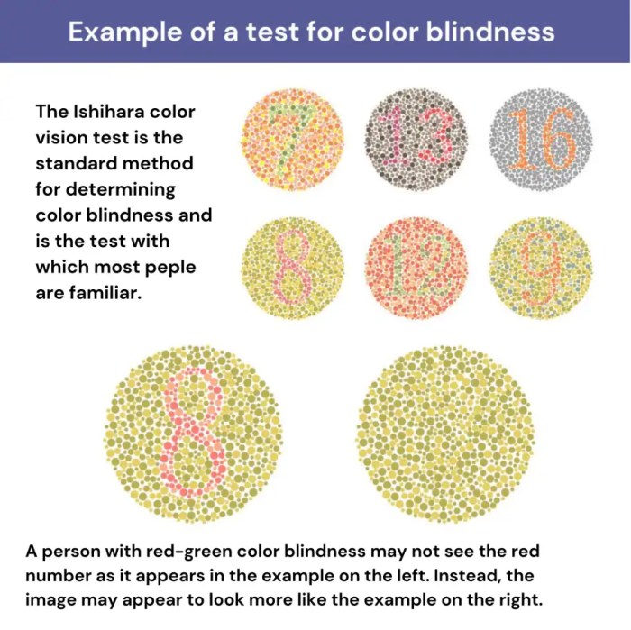 How Do Color Blind Tests Work? | Glasses.com®