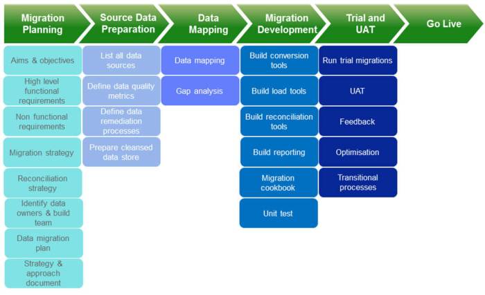 Data Migration Strategy Template