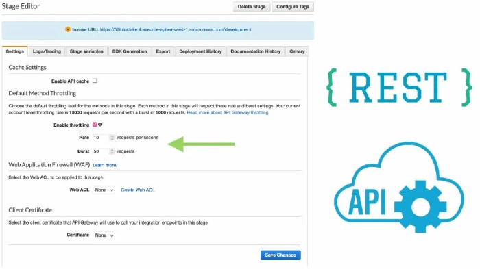 Serverless API Throttling: Understanding and Implementing Rate Limits