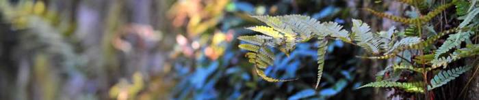 Green Cloud Computing: Key Principles for Sustainable IT