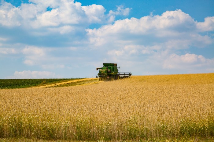 Grain Harvesting Combine Free Stock Photo - Public Domain Pictures