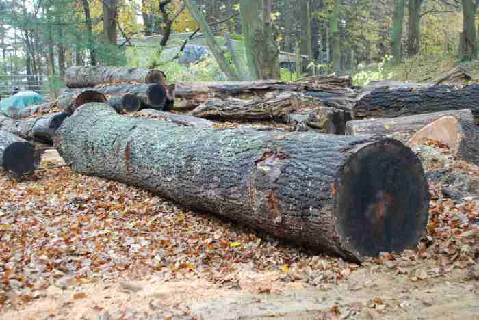What Is Log Analysis And Its Importance