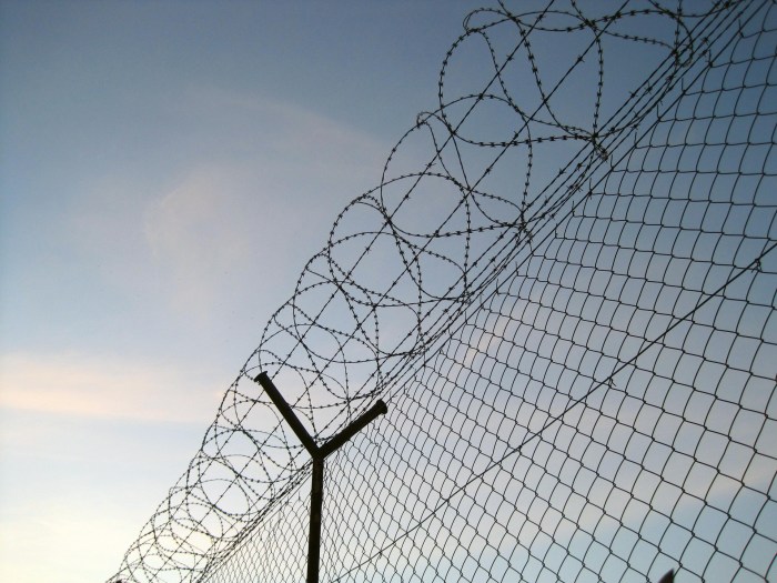 Security Fence Free Stock Photo - Public Domain Pictures