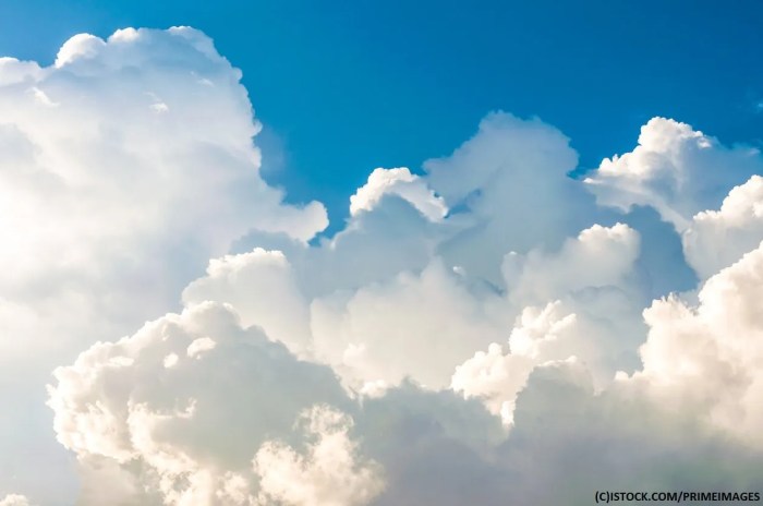 Cloud Native Architecture: Principles and Best Practices