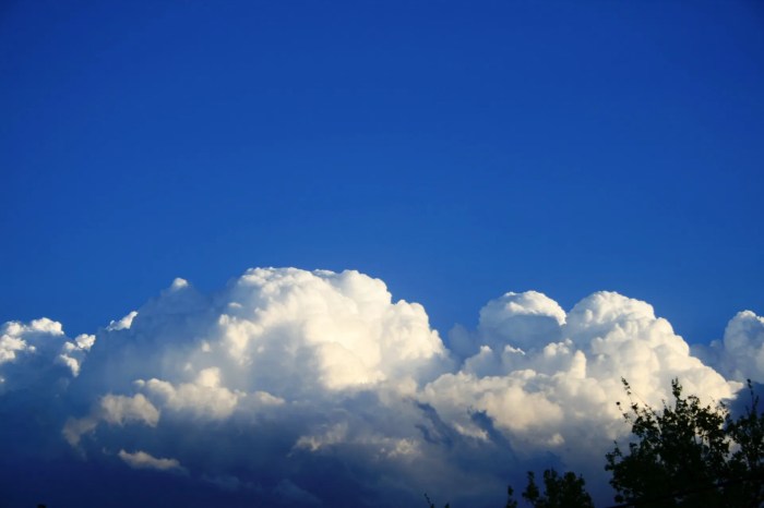 Cloud Texture Free Stock Photo - Public Domain Pictures