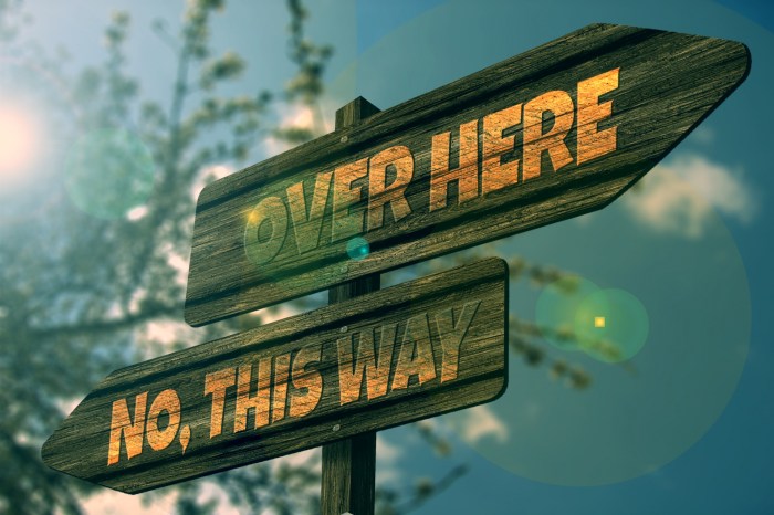 Over Here - No, This Way Free Stock Photo - Public Domain Pictures