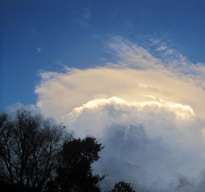 Cloud Access Security Broker (CASB): Definition, Benefits, and How It Works