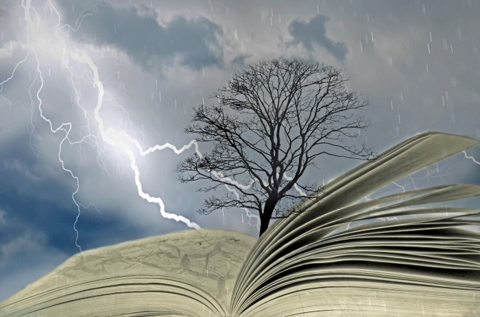 FinOps and Business Agility: How Cloud Financial Management Drives Speed and Innovation