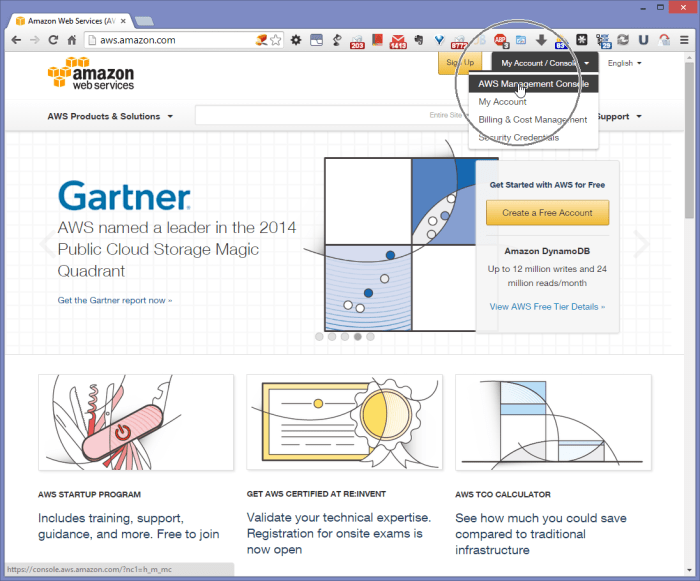 Amazon web services - AWS: how to log into management console in ...